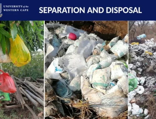 From rivers of nappies to national policy